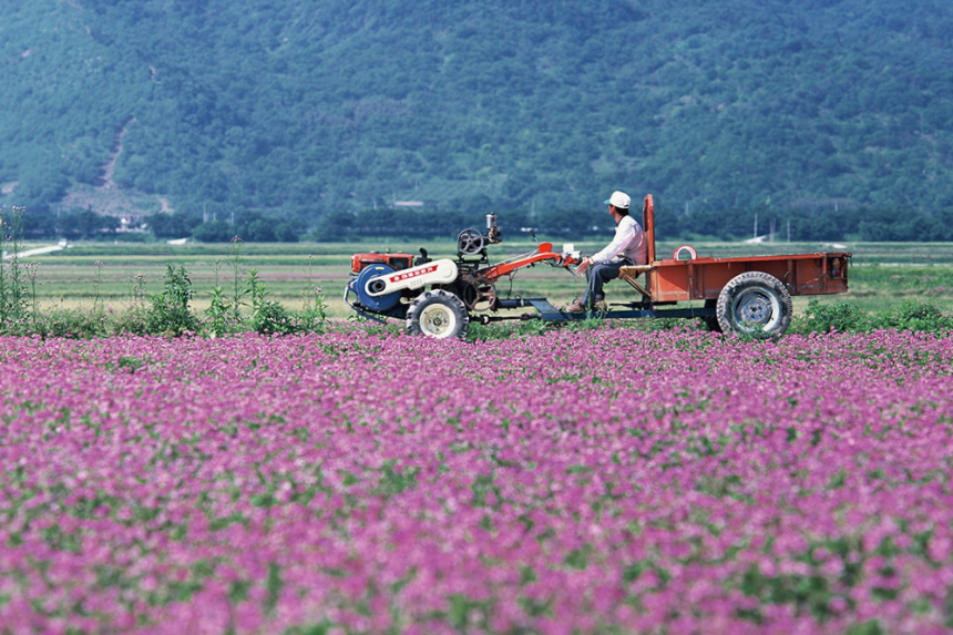 계절의 변화를 세분화한 24 절기 중 '청명' 이해하기