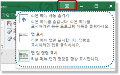 리본 메뉴 표시 옵션