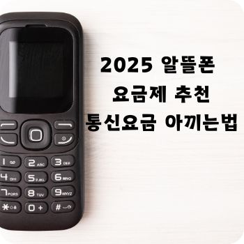 2025 알뜰폰 요금제 추천