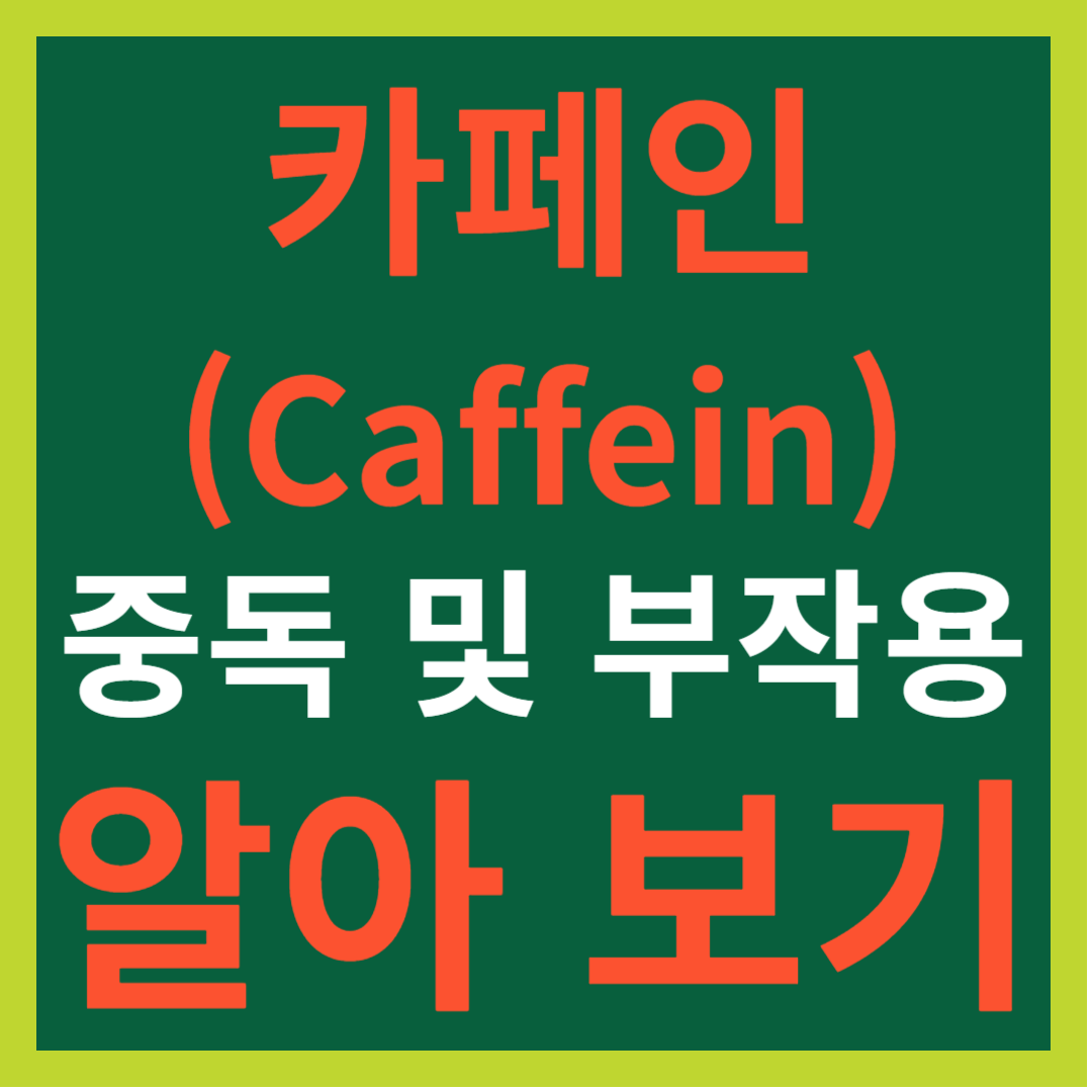 카페인(Caffein) 중독 및 부작용 알아 보기