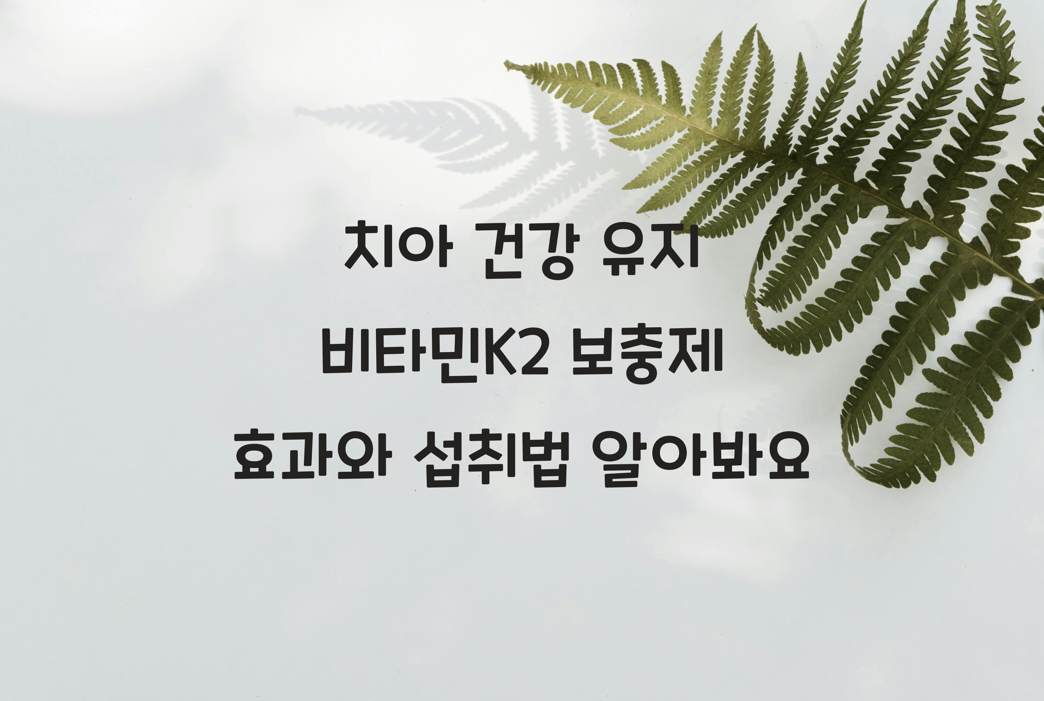 치아 건강 유지 비타민K2 보충제