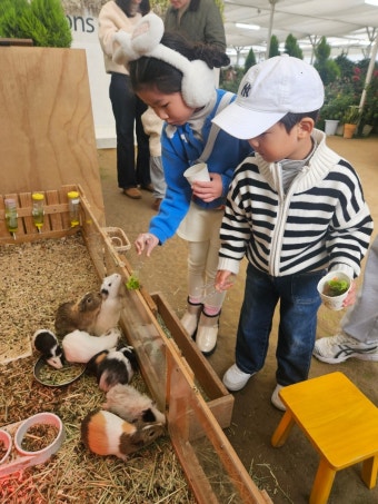 동물 체험