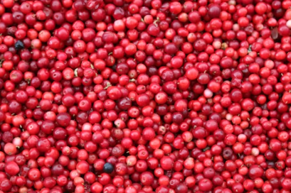 신장에 좋은 음식 10가지 신장에 나쁜 음식