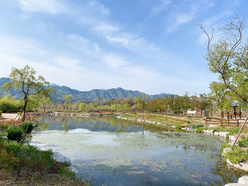 거창 가볼만한곳 베스트 10