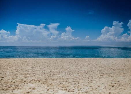 서해안 해수욕장 개장일 폐장일 운영시간