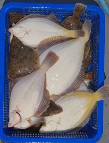 요즘 제철 음식