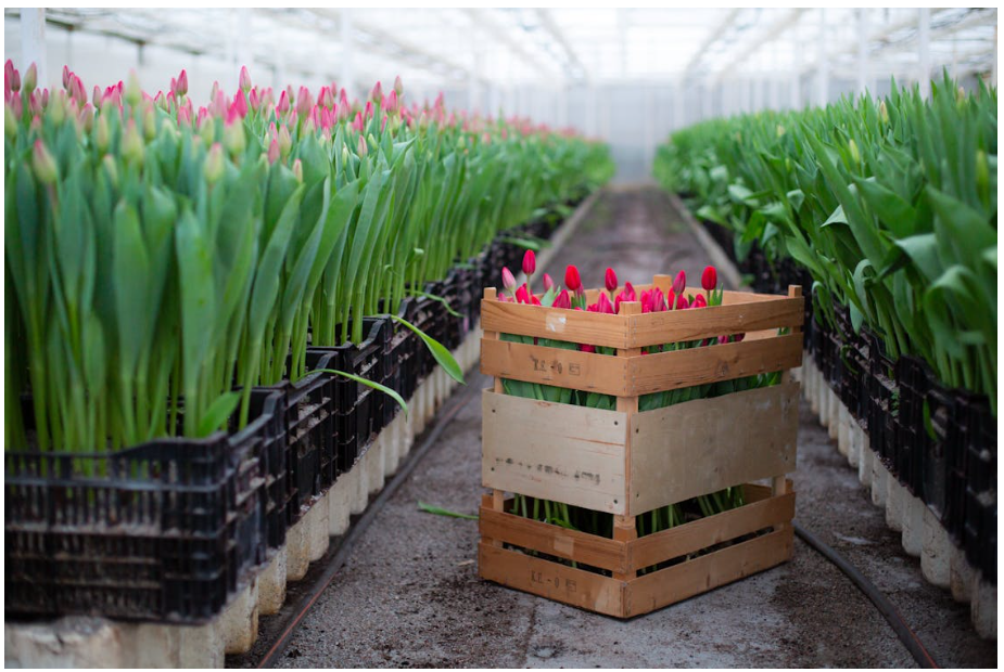 5060세대 농업 창업 지역 추천