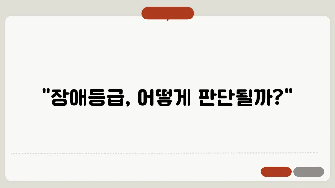 장애등급 판정기관