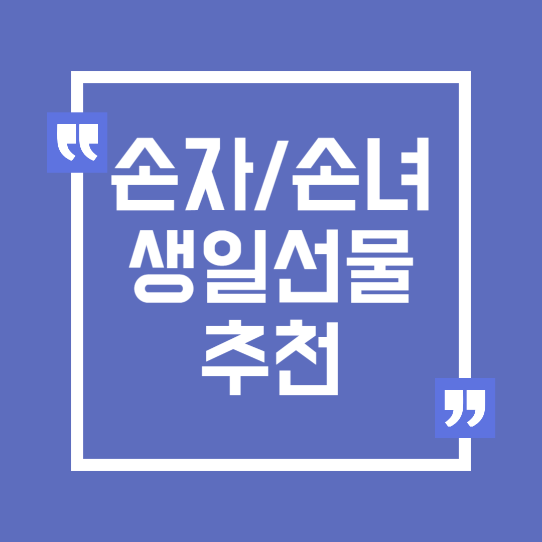 손자 손녀 생일 선물, 센스있는 선물 추천
