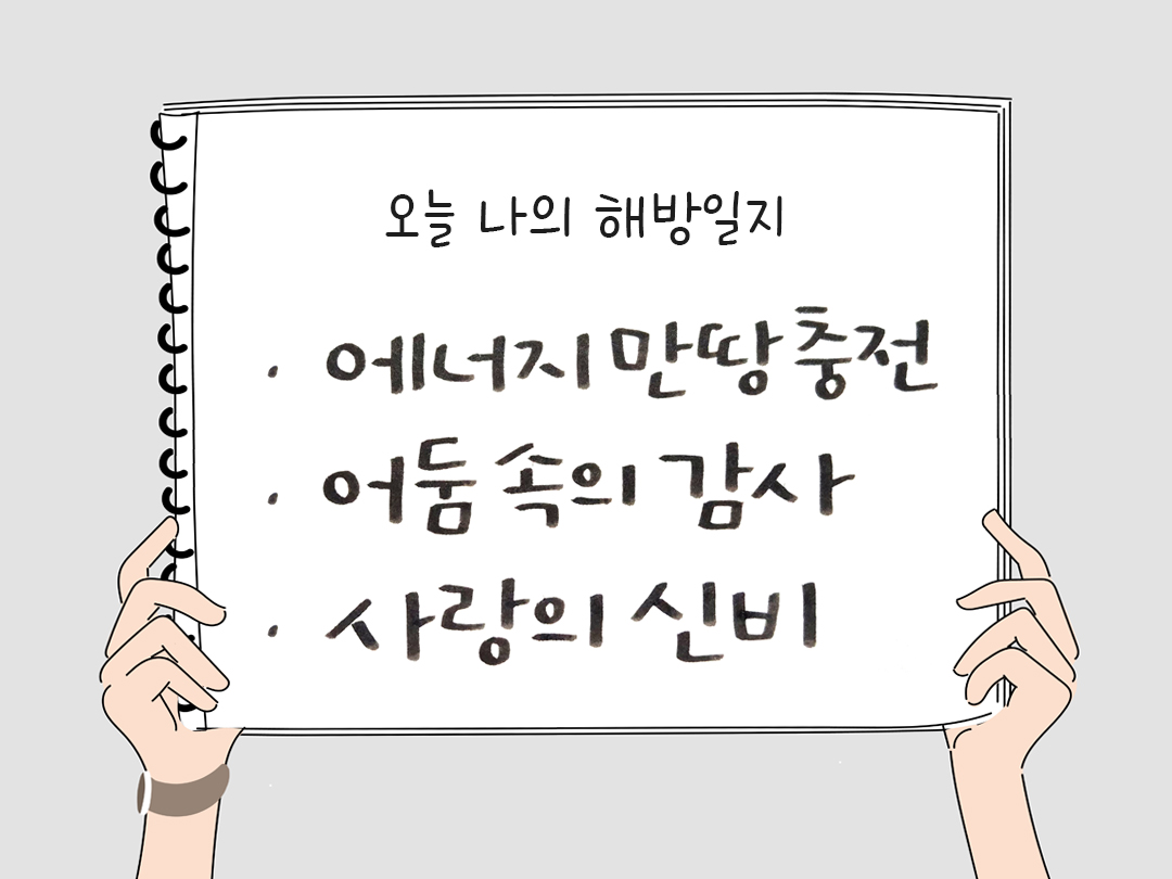 피어나네 감사일기 25년 1월 9일 오늘 나의 해방일지 감사노트 감사를 통해 발견한 행복 오늘 감사한 순간들