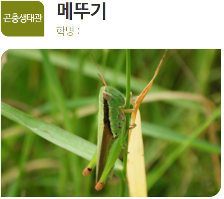 아산 생태곤충원