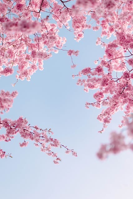 양산 원동