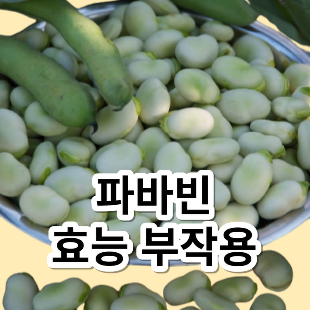 파바빈 효능 부작용