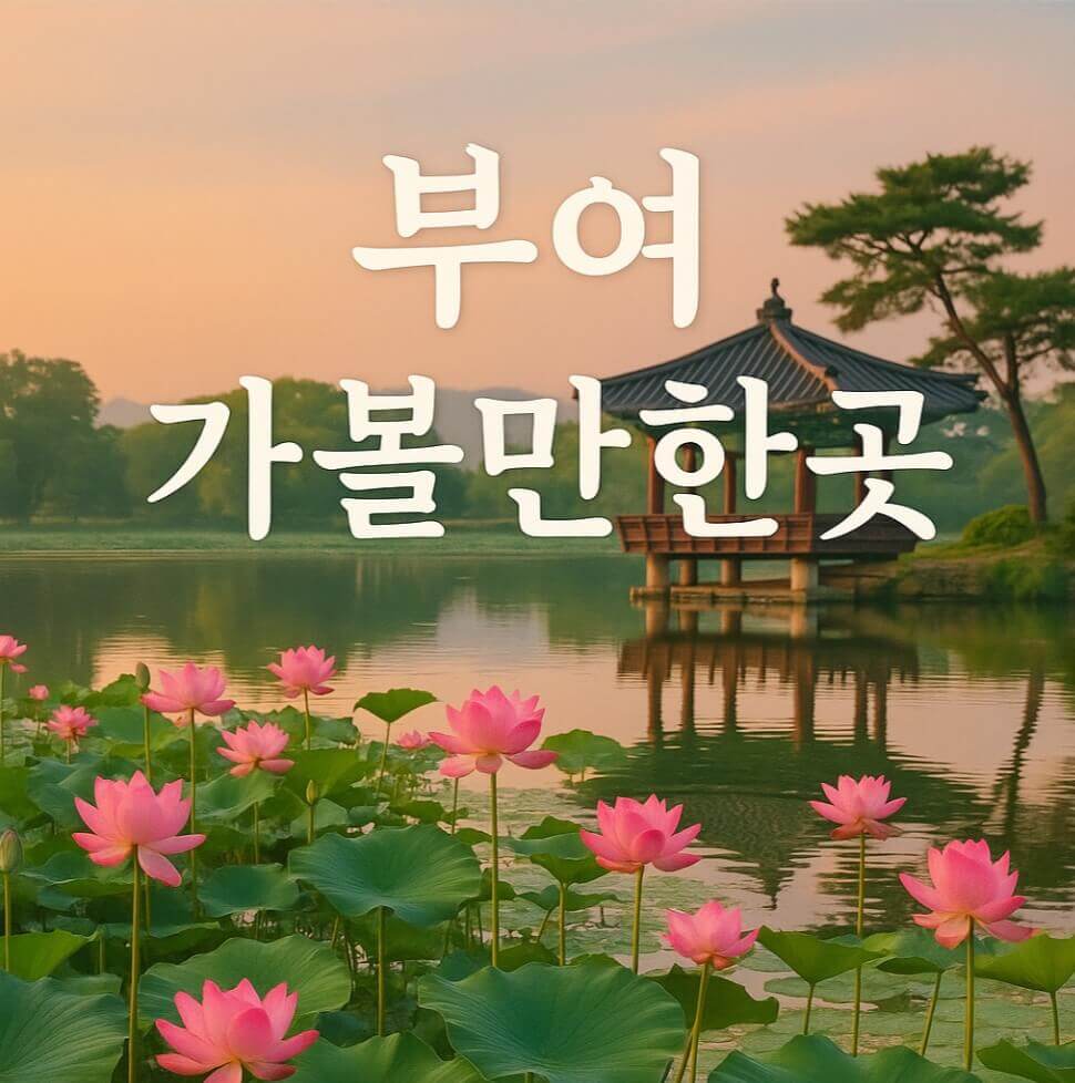 부여 가볼만한곳 베스트10