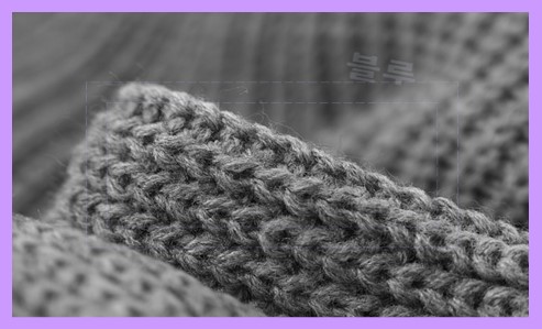 라코스테 버튼 카디건 특징