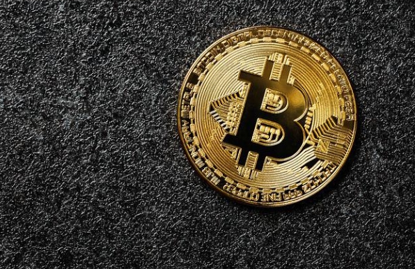 바이오패스포트 코인(BIOT) 전망과 호재 및 이슈