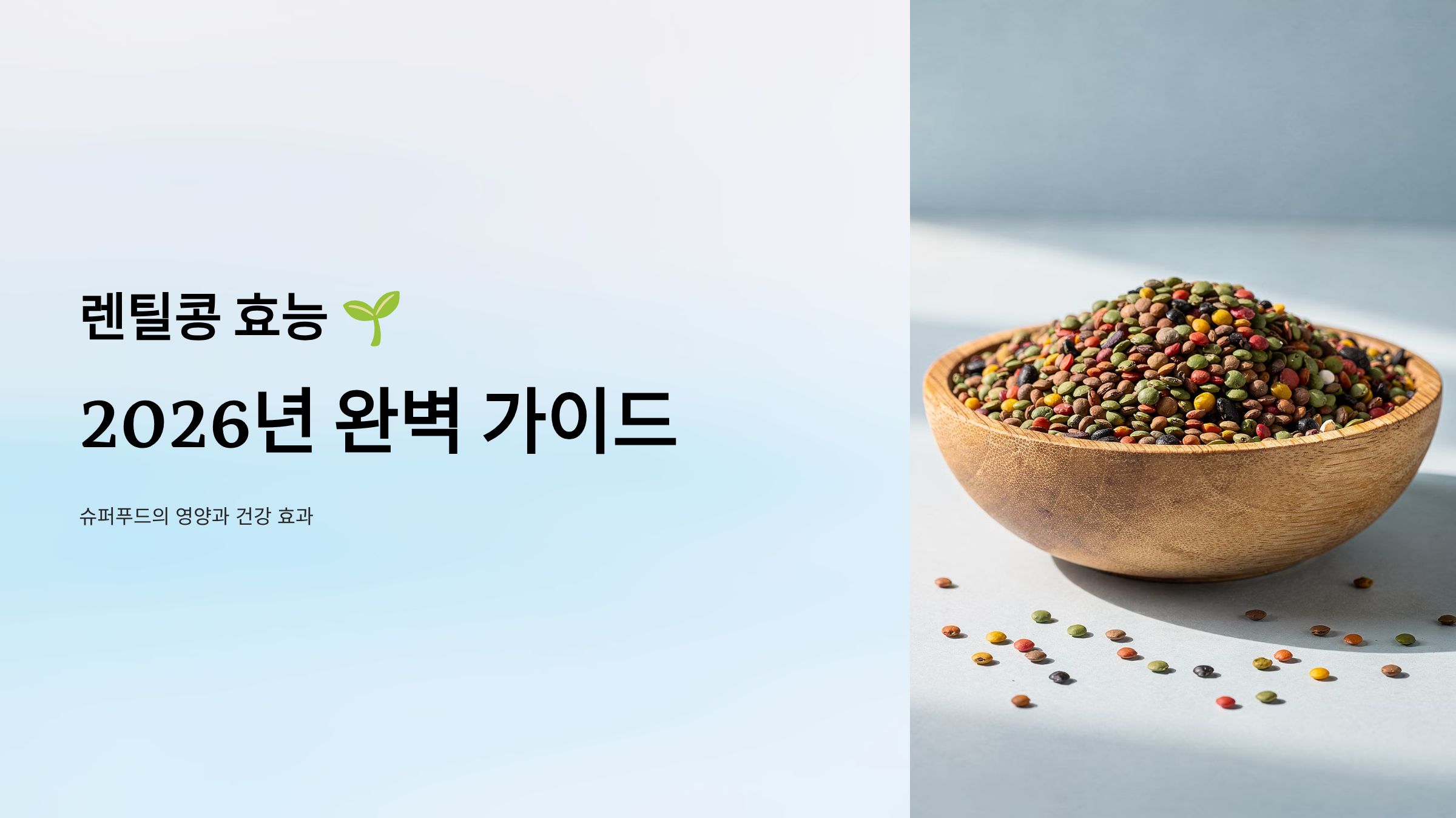 렌틸콩 효능 알아보기