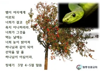 창세기 3장 원죄 구원 묵상_5