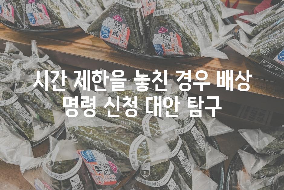 시간 제한을 놓친 경우 배상 명령 신청 대안 탐구