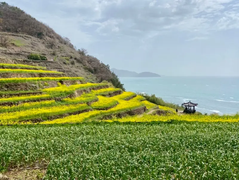 남해 다랭이마을2