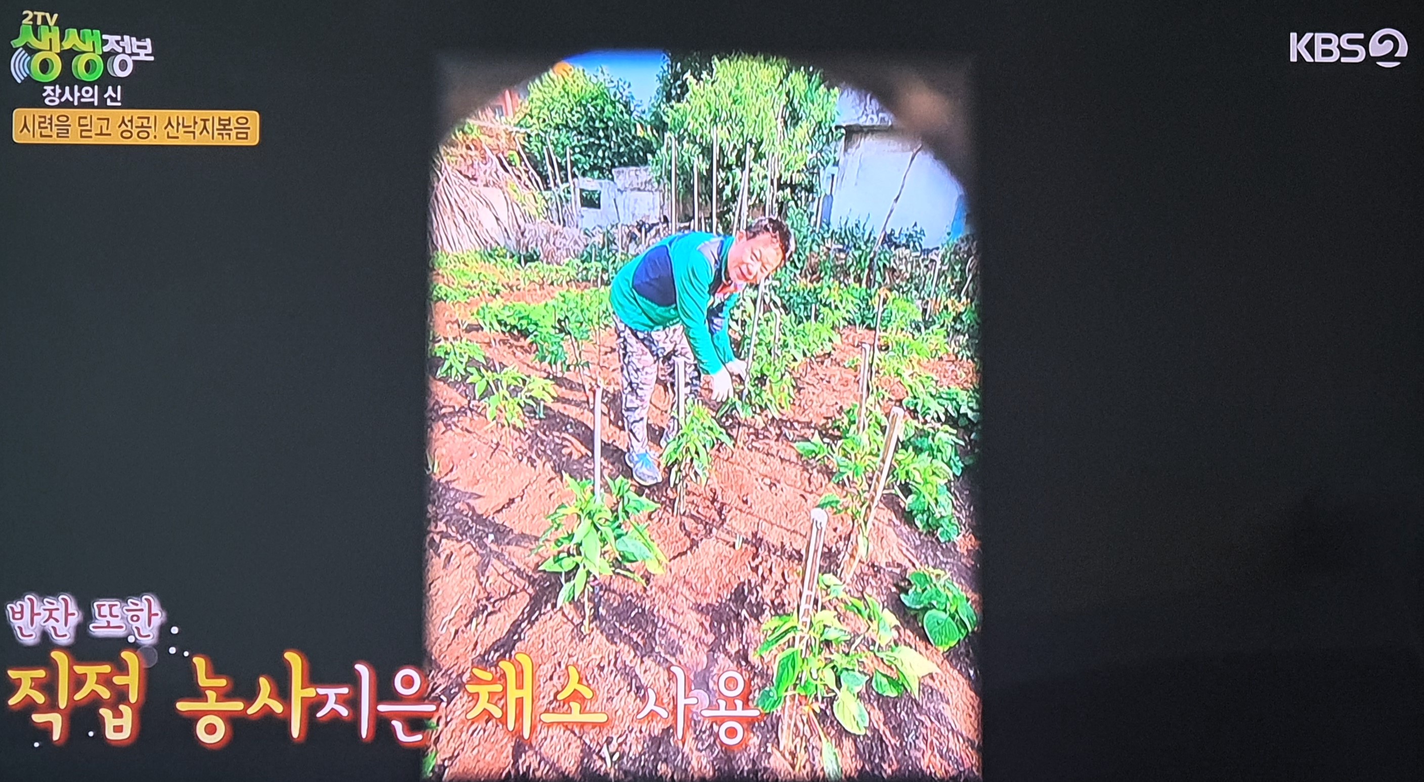 생생 정보통 맛집 맛의 비결
