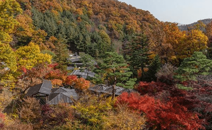 화담숲 온라인 예매, 당일 환불, 입장시간 꿀팁 이미지 설명.