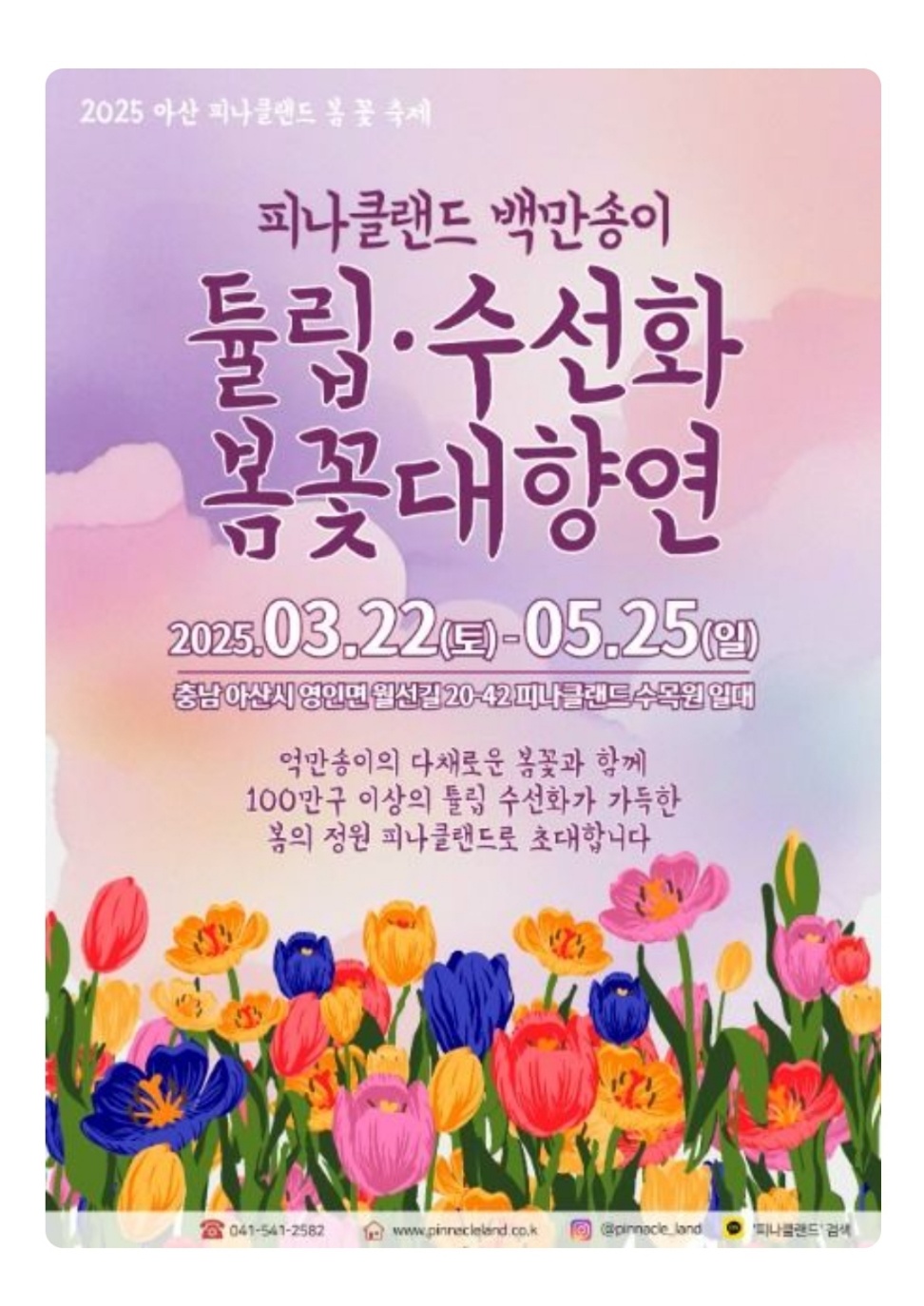 아산 피나클랜드 봄 꽃 축제