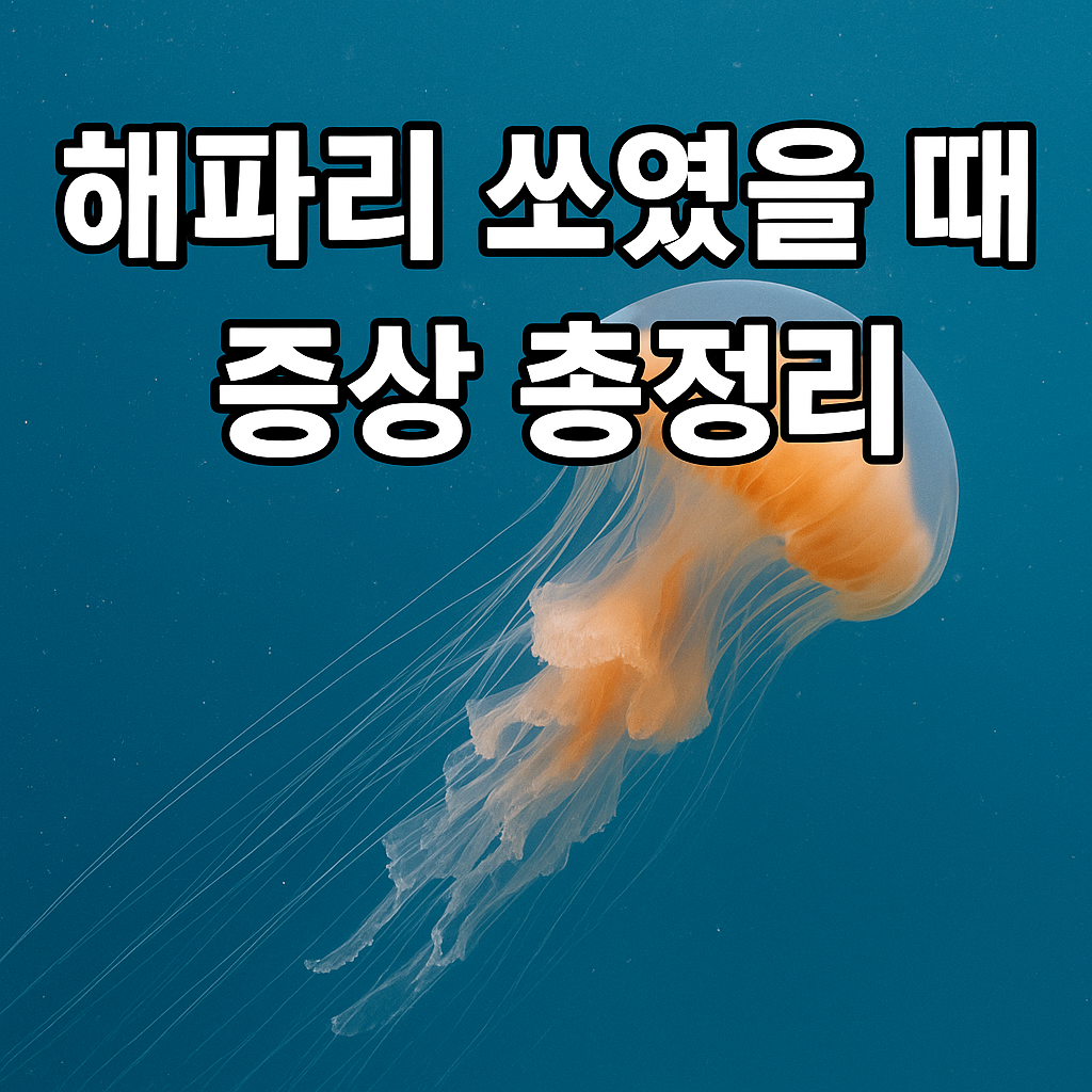 해파리 쏘였을 때 증상 총정리