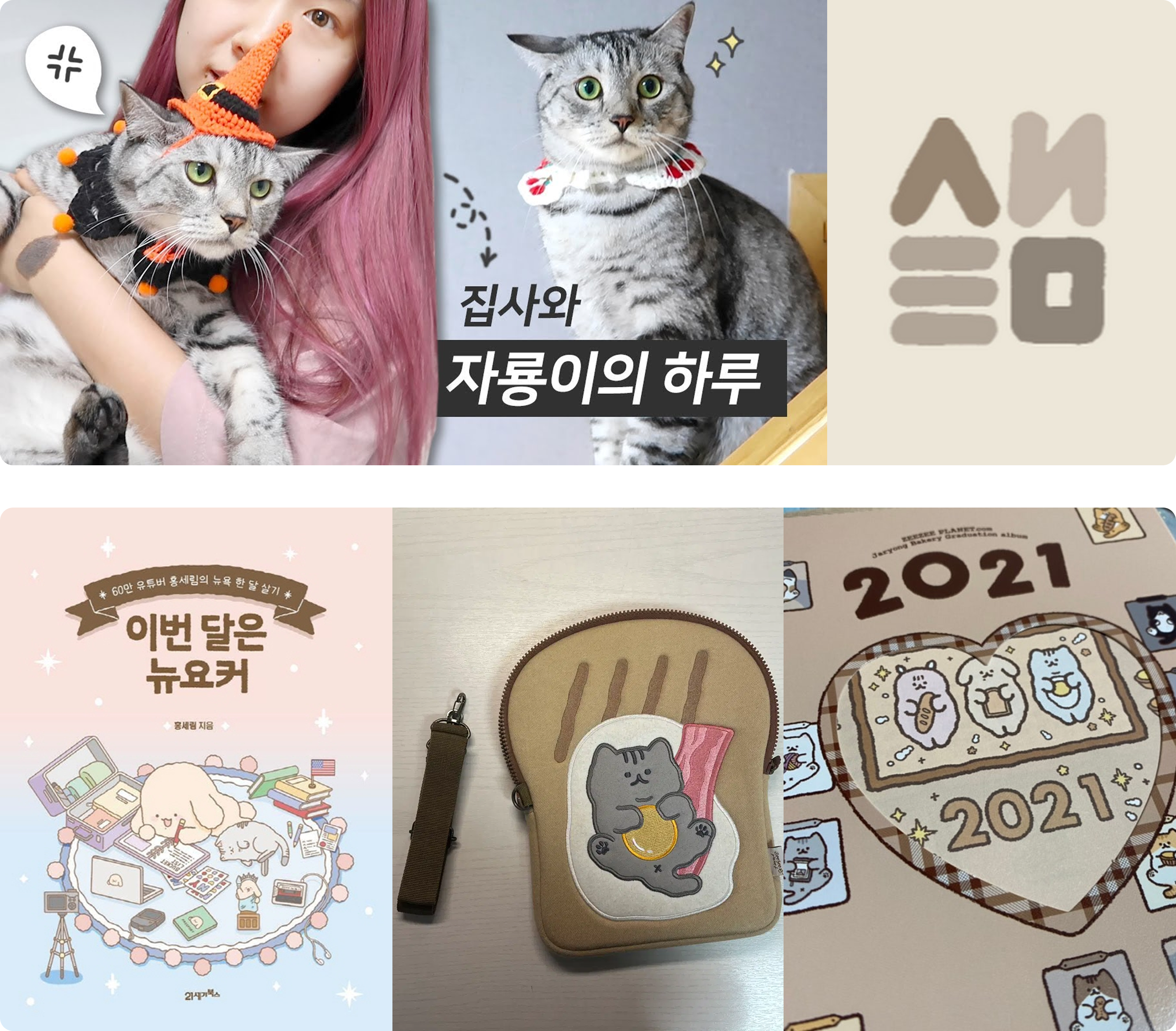 크리에이터에 대한 대략적인 정보