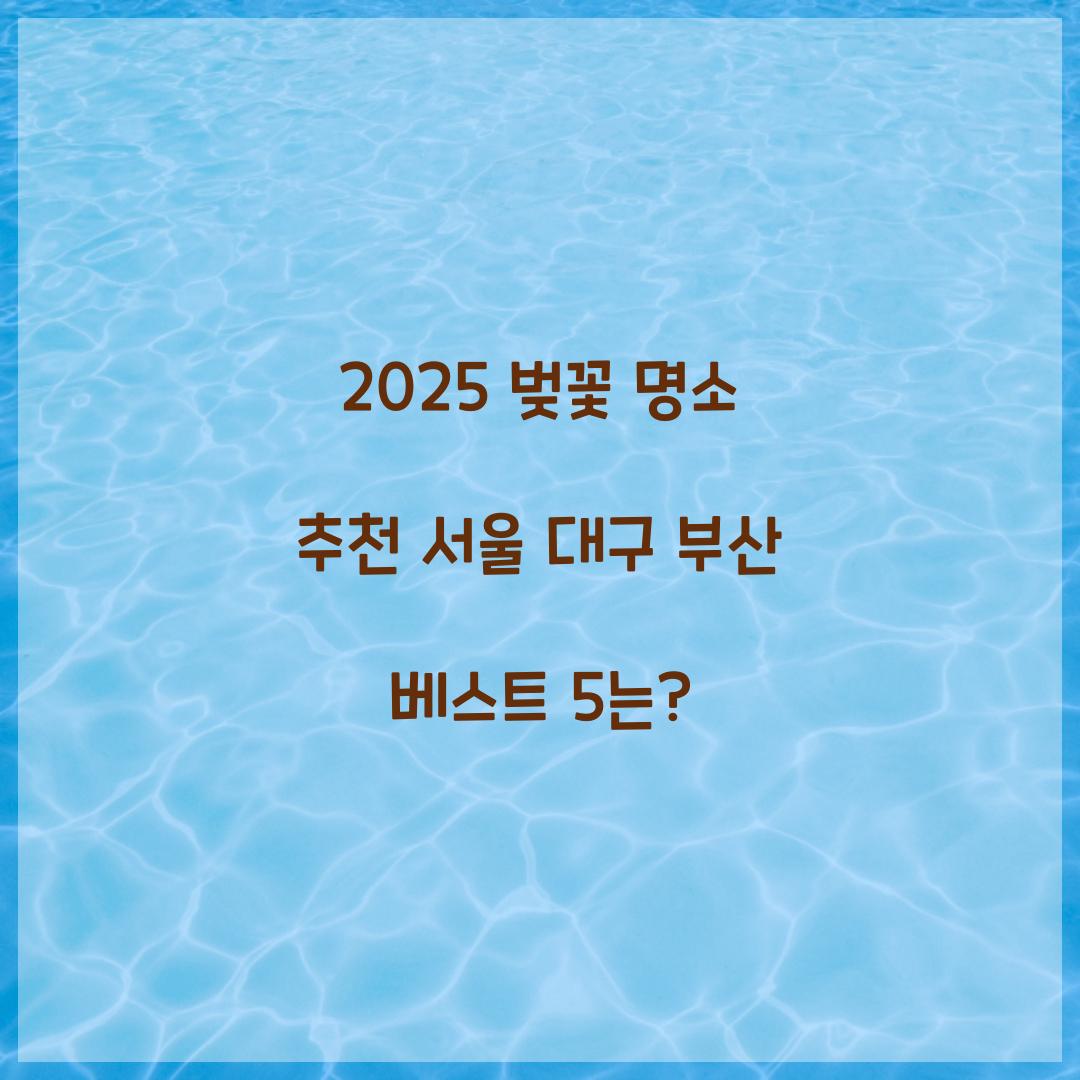 벚꽃 명소 추천