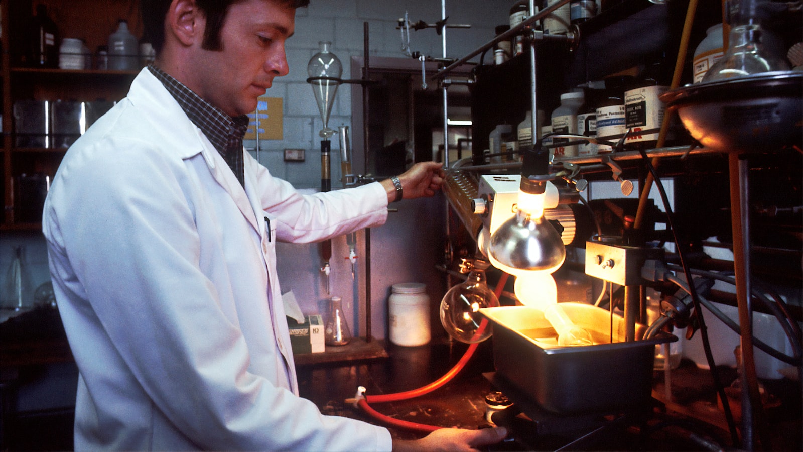 candidiasis and aspergillosis 6