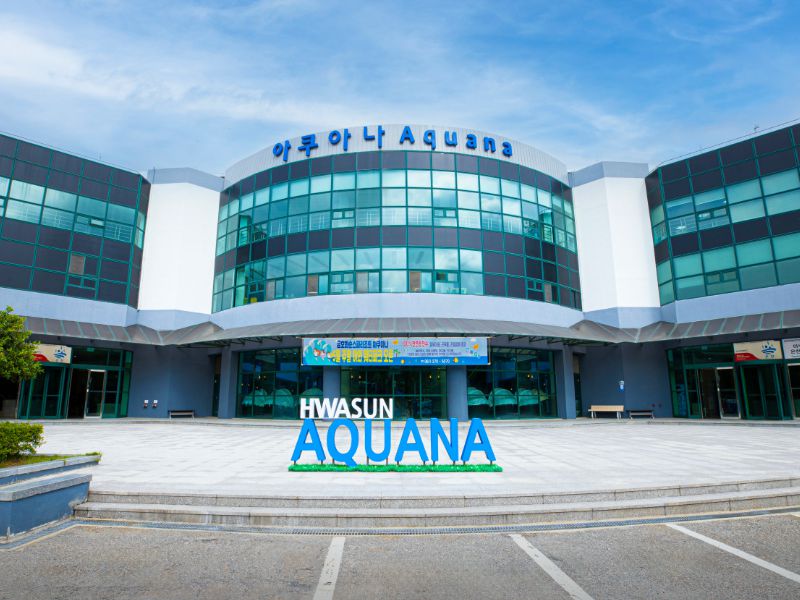 화순 아쿠아나