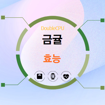 금귤 효능 탐구