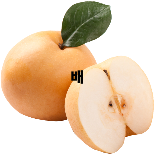 기관지에 좋은 음식 10가지