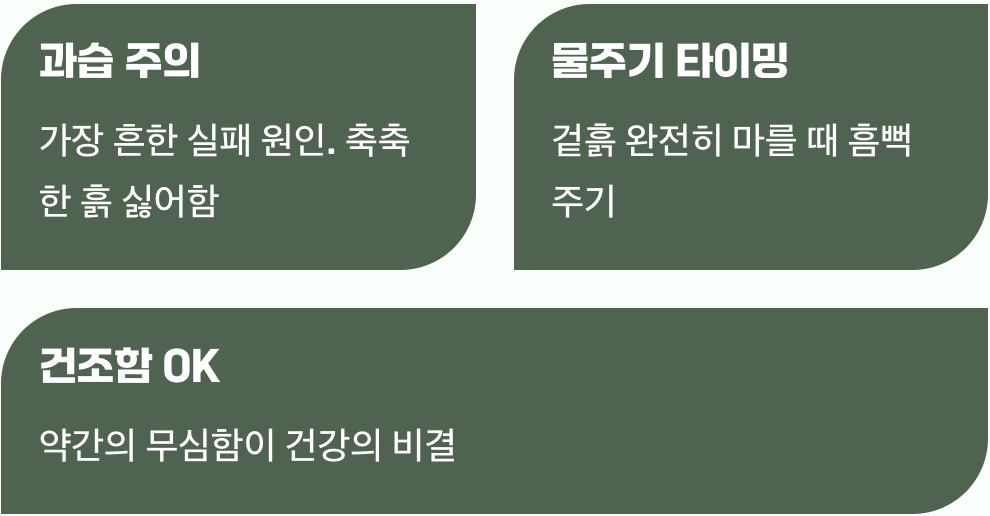 물주기의 기술, 흙을 말리는 지혜