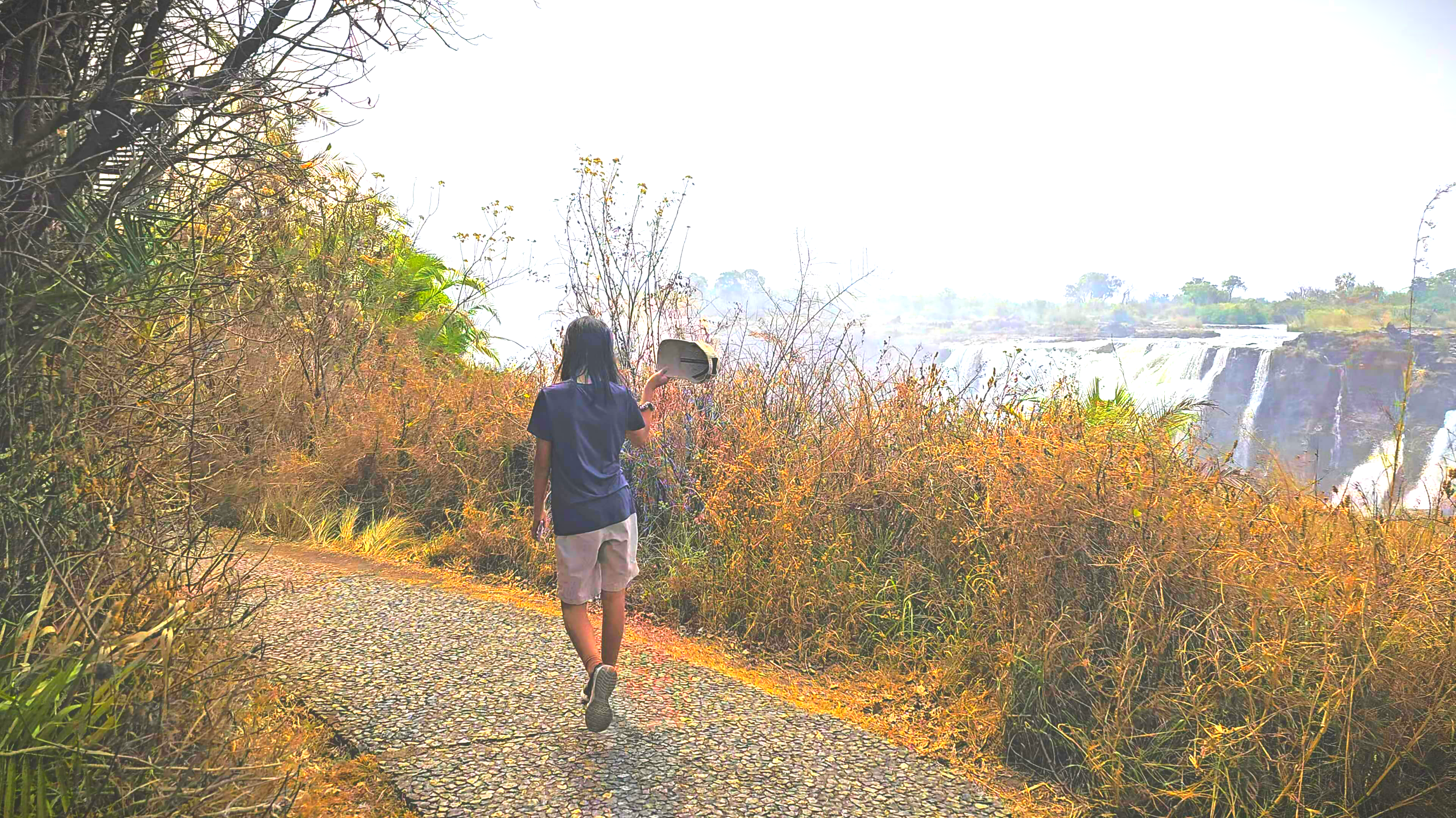 세계일주 루트
