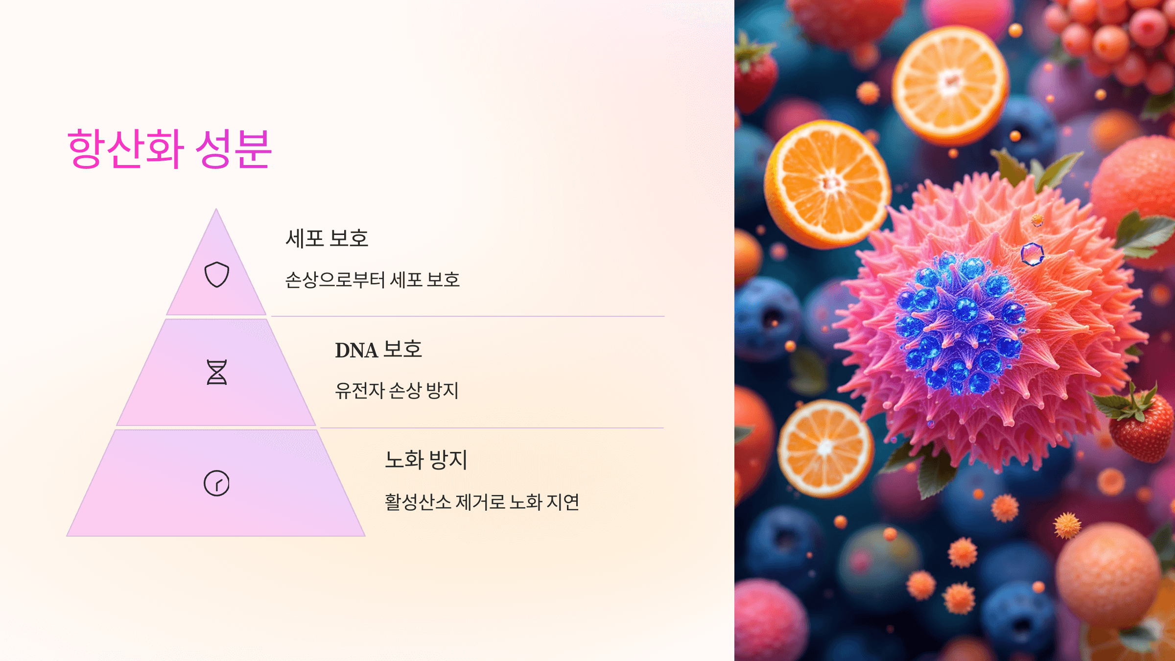 신비복숭아 사진입니다.