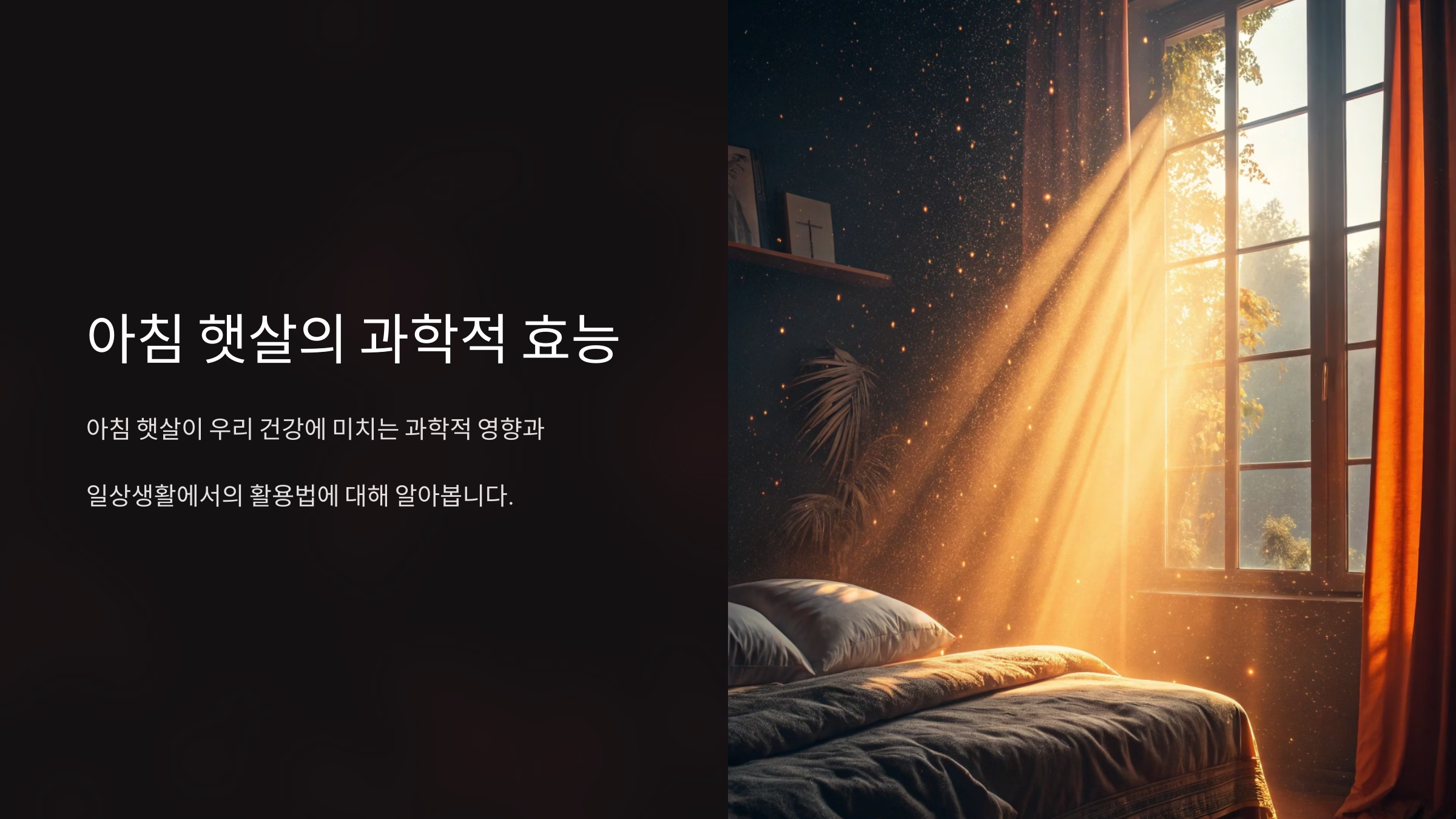 아침 햇살의 건강 효과