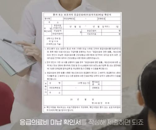 응급의료비 대지급 제도