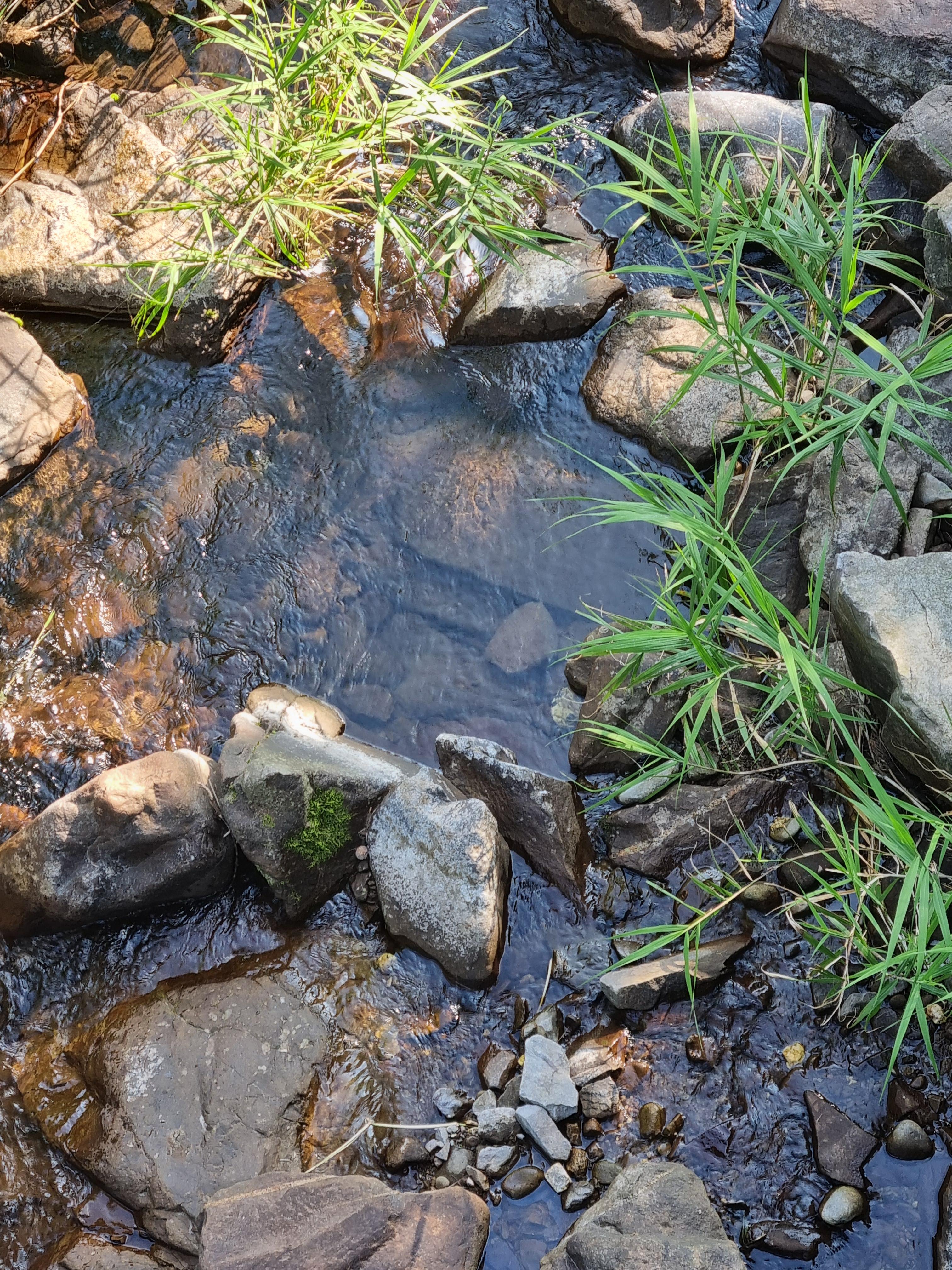 두타산자연휴양림 맑은 물
