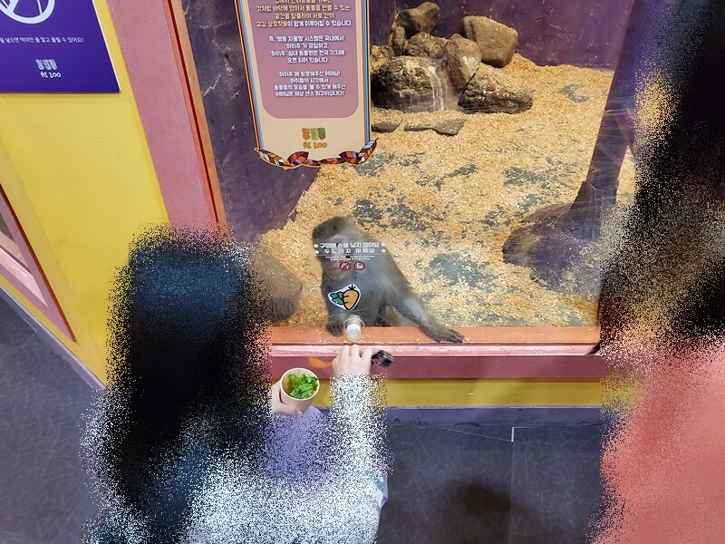 하이브실내동물원