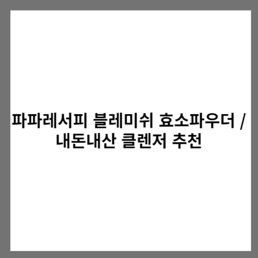 파파레서피 블레미쉬 효소파우더 / 내돈내산 클렌저 추천