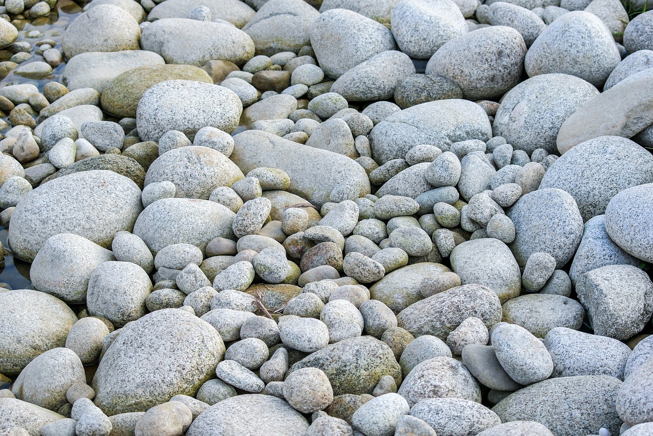 돌꿈