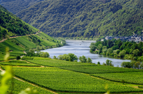 혼자 가기 좋은 국내 감성 여행지 TOP 5