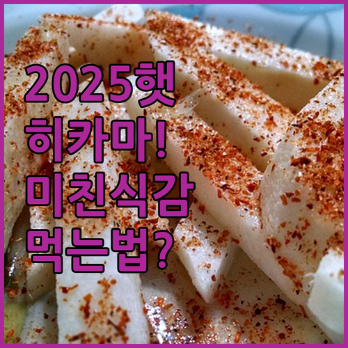 2025년 햇 히카마 멕시코감자 효능..