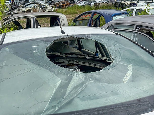 헤이딜러-폐차-취소