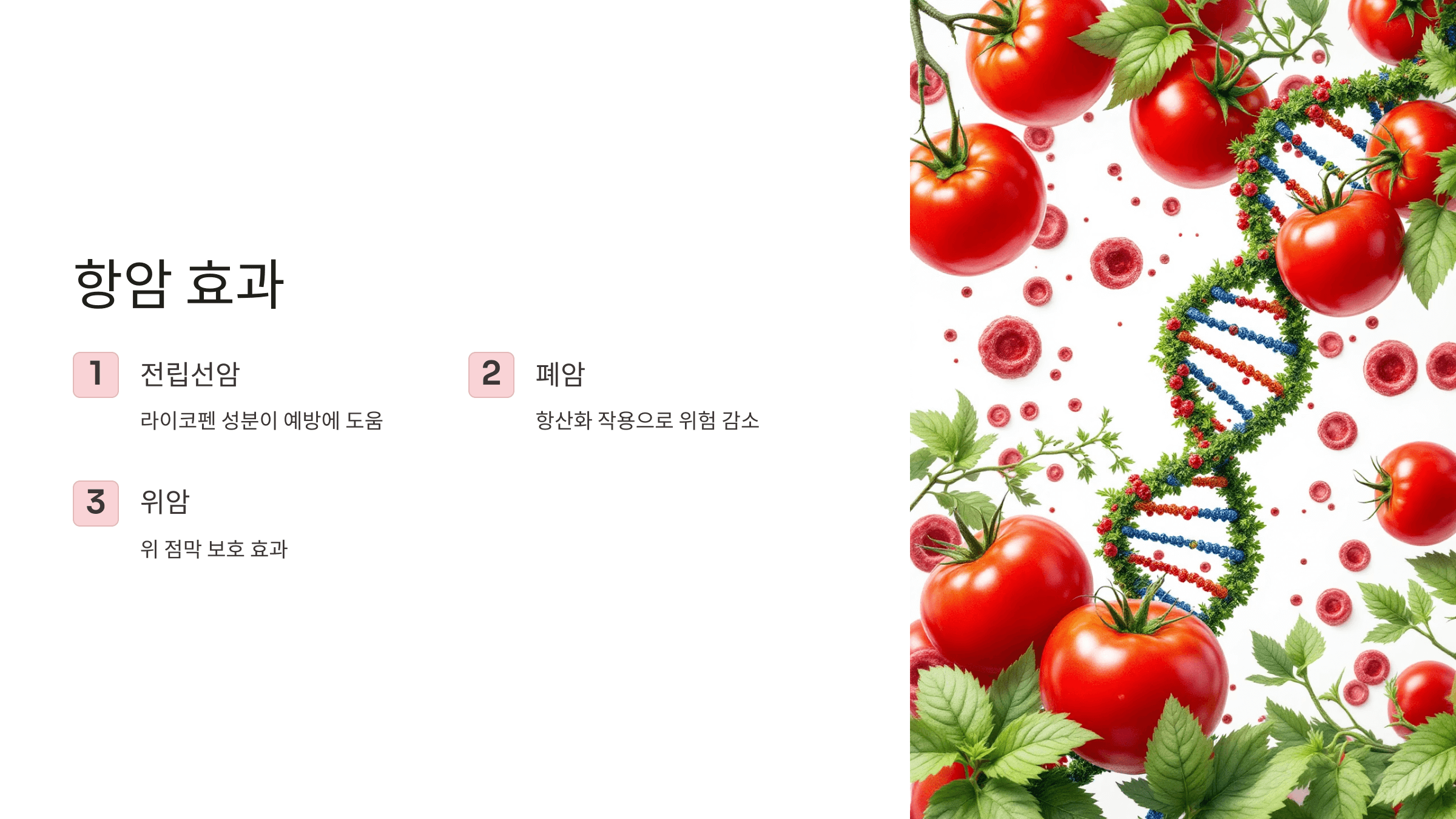 토마토 사진입니다.
