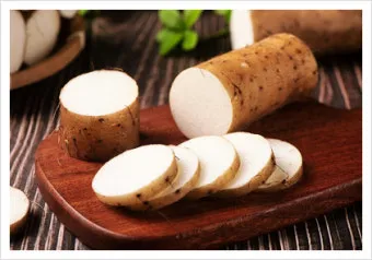 마 효능 보관법 먹는법 마즙 만들기까지 종합 가이드_19