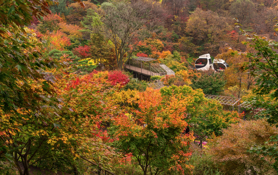 화담숲 모노레일