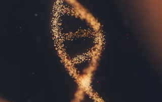 미오이노시톨 과 활성형 엽산